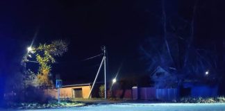 Фото ГАИ