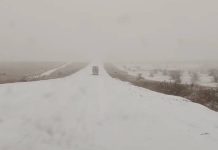 Фото Госавтоинспекции