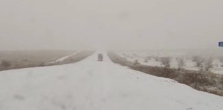 Фото Госавтоинспекции