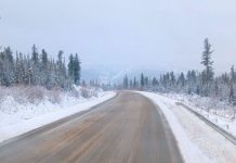 Фото Госавтоинспекции