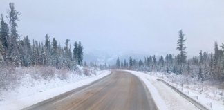 Фото Госавтоинспекции