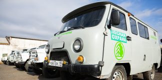 Фото из телеграм канала Минлес РХ