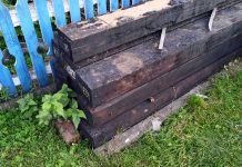 Фото ЛО МВД