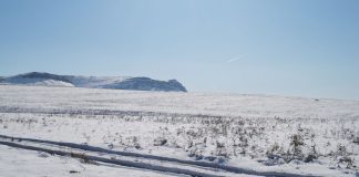 Фото: r-19.ru