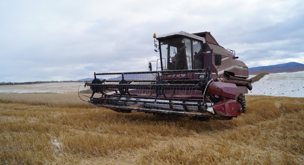 Фото со страницы Минсельхоза РХ