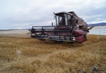 Фото со страницы Минсельхоза РХ