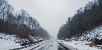 Изображение сгенерировано нейросетью
