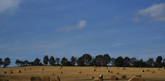 Изображение из фотобанка