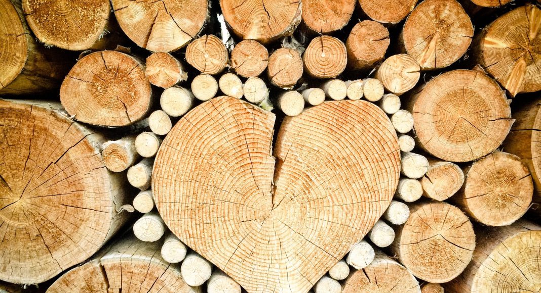 Изображение из фотобанка Сердце, бревна