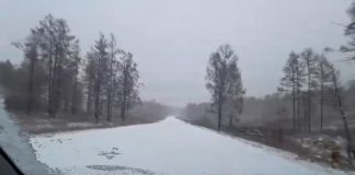 Кадр видеосъемки из телеграм канала МЧС