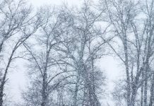 Изображение из фотобанка