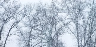 Изображение из фотобанка