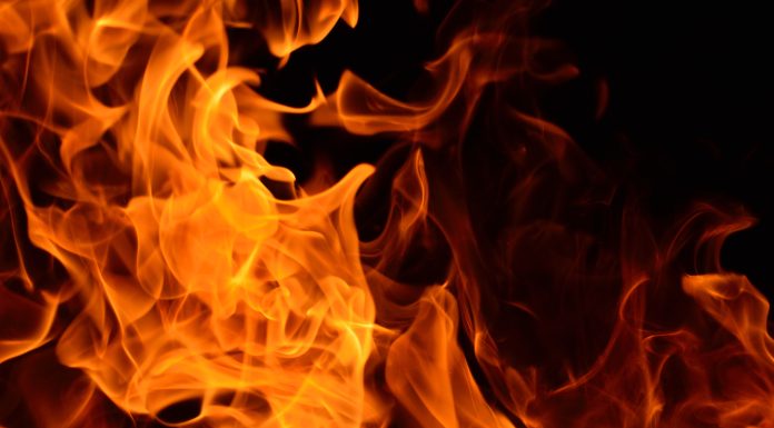 Изображение из фотобанка