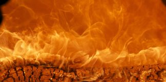 Изображение из фотобанка