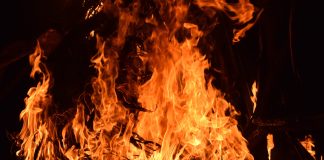 Изображение из фотобанка