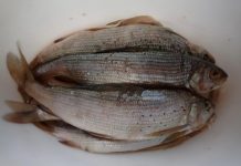 Фото из телеграм-канала Минприроды РХ