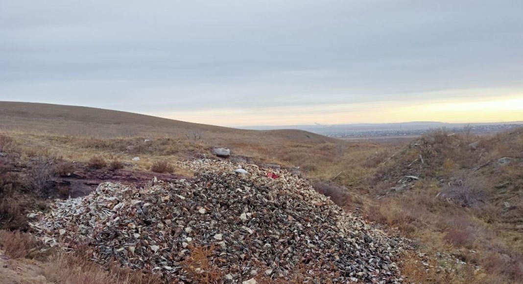 Фото из телеграм-канала Минприроды РХ