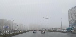 Фото из телеграм-канала Минприроды РХ