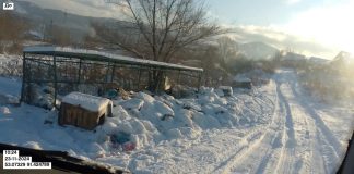 Фото из телеграм-канала Администрации города Саяногорска