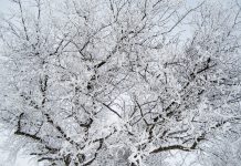 Изображение из фотобанка