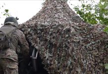 Сводка Минобороны о ходе СВО по состоянию на 22 июля Источник: Минобороны РФ