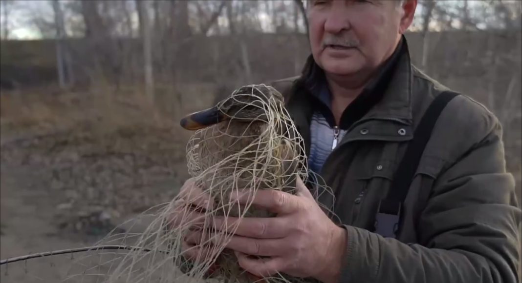 Кадр съемки Минприроды РХ Кадр съемки Минприроды РХ