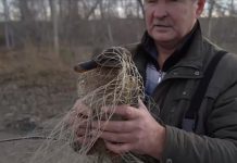 Кадр съемки Минприроды РХ