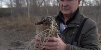 Кадр съемки Минприроды РХ