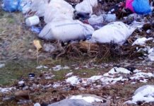 Несанкционированная свалка. Кадр съемки Народного фронта