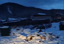 Мусор в Майна