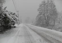 Изображение из фотобанка