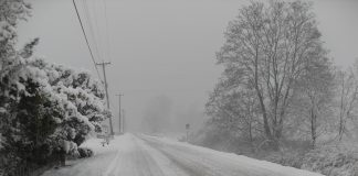 Изображение из фотобанка