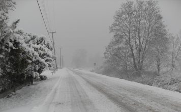 Изображение из фотобанка