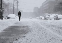 Изображение из фотобанка