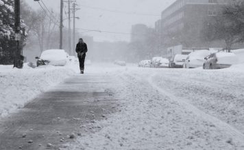 Изображение из фотобанка