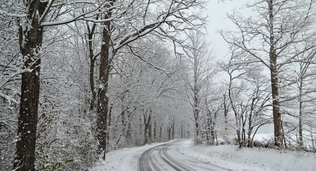 Изображение из фотобанка