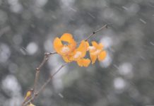 Изображение из фотобанка
