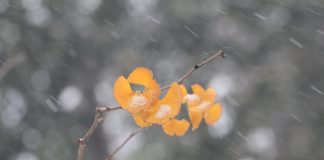 Изображение из фотобанка