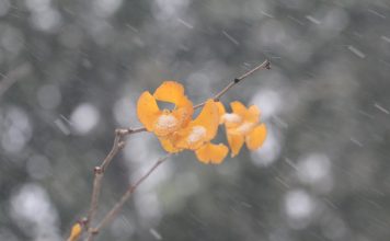 Изображение из фотобанка