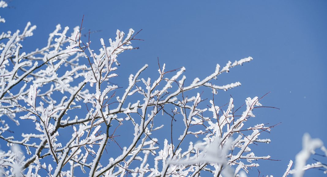 Изображение из фотобанка