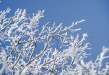 Изображение из фотобанка