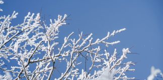 Изображение из фотобанка