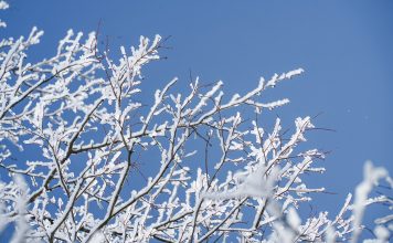 Изображение из фотобанка