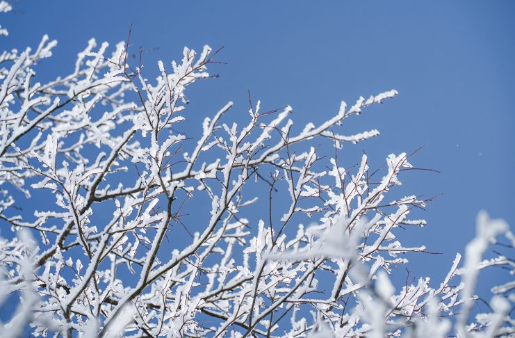 Изображение из фотобанка