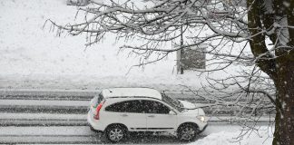 Изображение из фотобанка