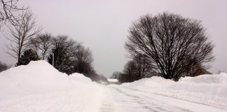 Изображение из фотобанка