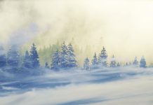 Изображение из фотобанка