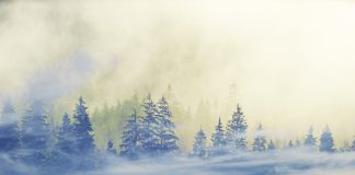 Изображение из фотобанка