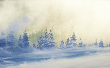 Изображение из фотобанка