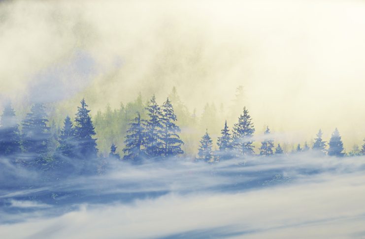 Изображение из фотобанка